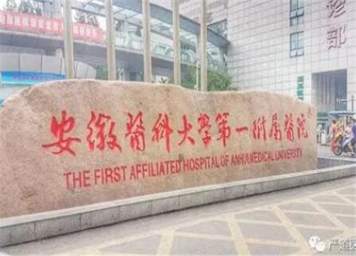 安徽醫(yī)科大學第一附屬醫(yī)院.jpg