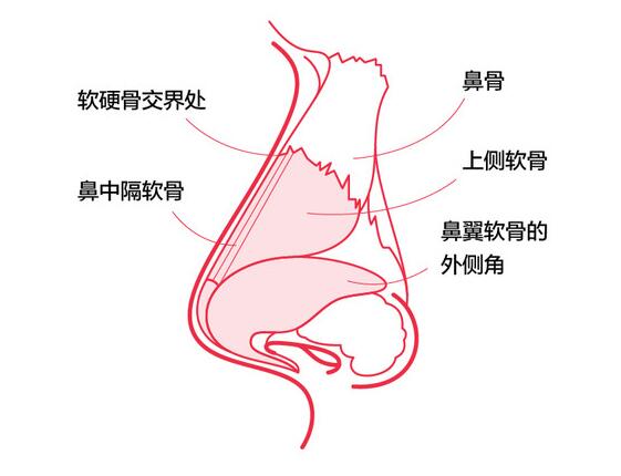 QQ截圖20211125104354.jpg
