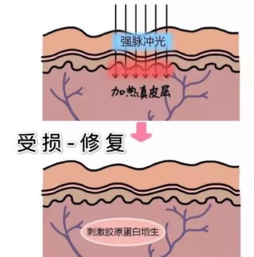 QQ截圖20201231153030.jpg