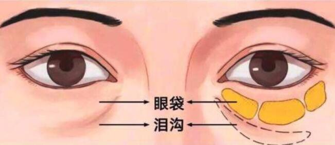 QQ截圖20231018155509.jpg