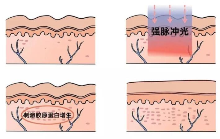 QQ截圖20230117103626.jpg