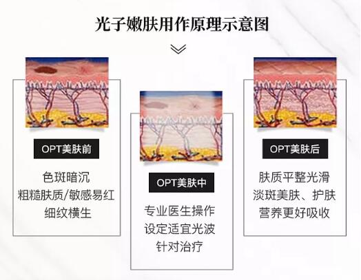 QQ截圖20200410141934.jpg