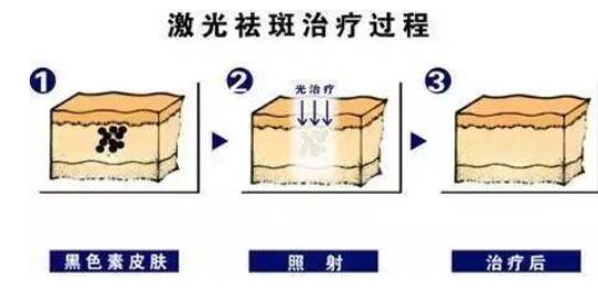 QQ截圖20210629104006.jpg