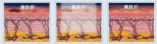 QQ截圖20191126142818.jpg