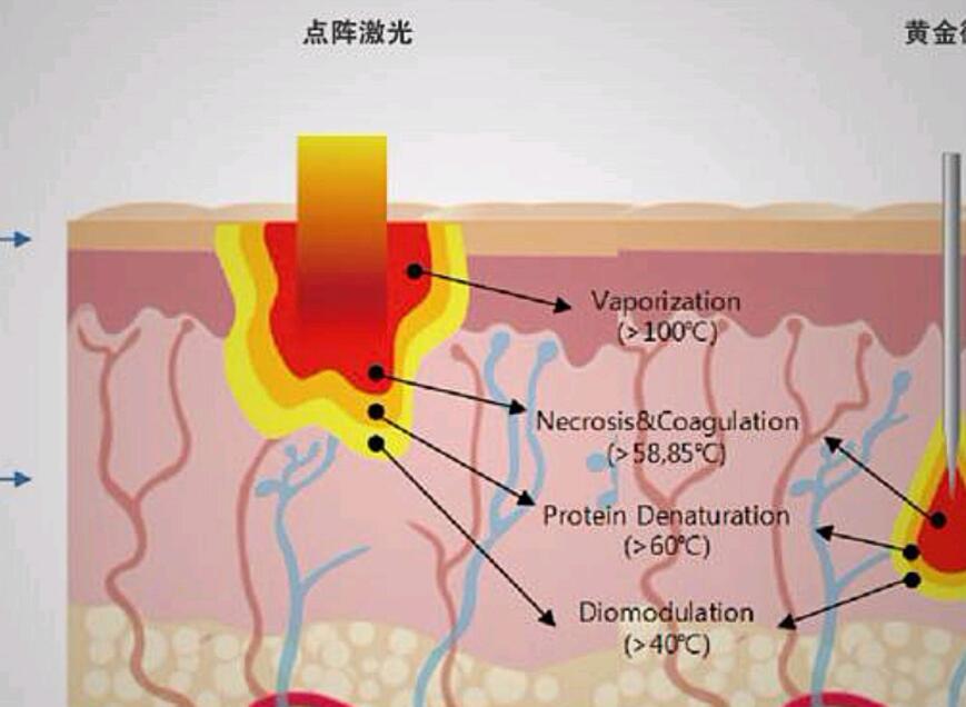 QQ截圖20230407161738.jpg