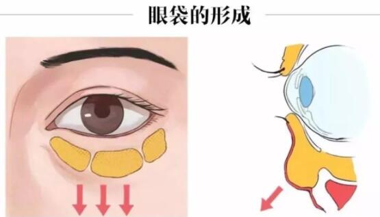 QQ截圖20240202141729.jpg