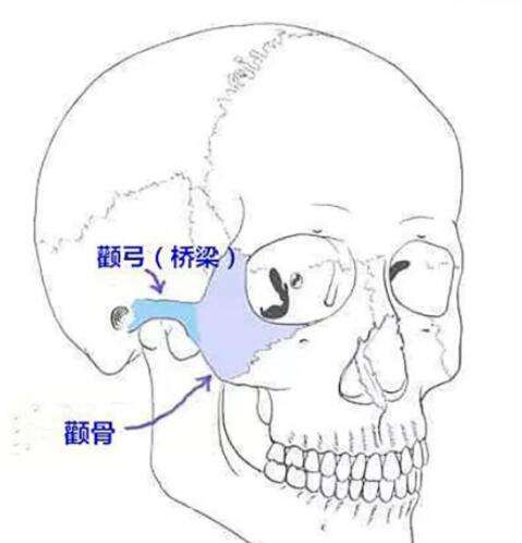 QQ截圖20210811114701.jpg