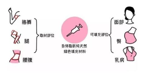 QQ截圖20190806104911.jpg