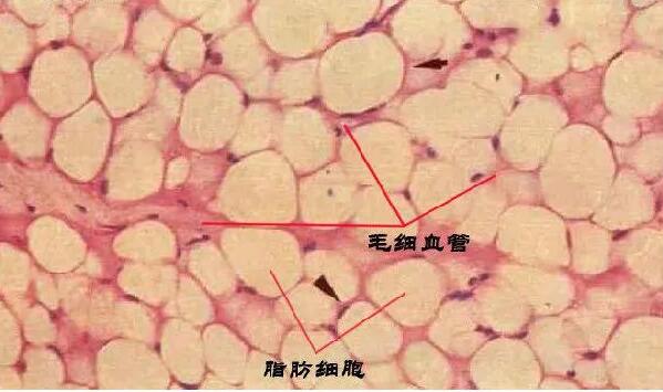 QQ截圖20210910115956.jpg