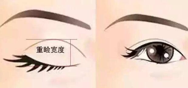 QQ截圖20220119174958.jpg