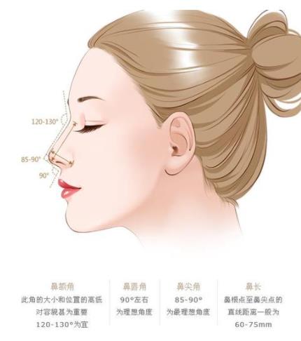 假體隆鼻002.jpg