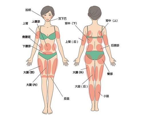 水動(dòng)力吸脂減肥3.jpg