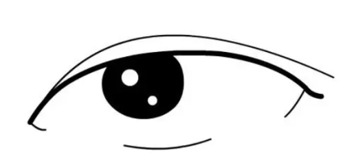 雙眼皮