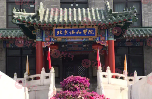 北京隆胸正規(guī)醫(yī)院排名，熱度飆升TOP榜網(wǎng)友認(rèn)可度在線看！