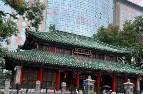 北京協(xié)和醫(yī)院整形外科價格表，醫(yī)生匯總_醫(yī)院簡介